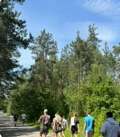 Būrys žygeivių eina miško keliu tarp pušų